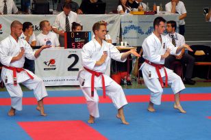 seibukan_Goju_Ryu_EM_Heilbronn_2014_094.jpg