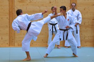 seibukan_KARATE_ein_Sport_fuer_Alt_und_Jung_2012_008.jpg