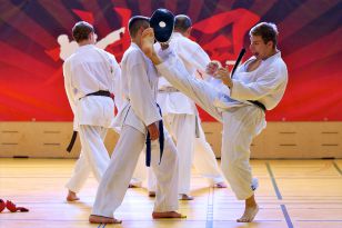 seibukan_KARATE_ein_Sport_fuer_Alt_und_Jung_2012_016.jpg