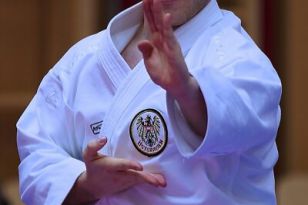 seibukan_Karate1_Premier_League_and_Youth_World Cup_Salzburg_2013_022.jpg