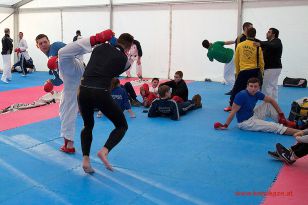 seibukan_Karate1_Premier_League_and_Youth_World Cup_Salzburg_2013_046.jpg