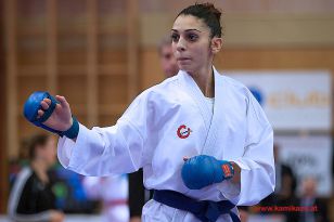 seibukan_Karate1_Premier_League_and_Youth_World Cup_Salzburg_2013_131.jpg