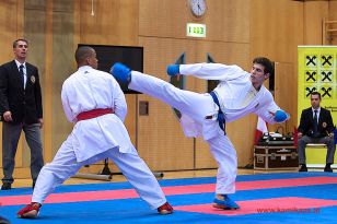 seibukan_Karate1_Premier_League_and_Youth_World Cup_Salzburg_2013_141.jpg