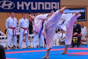 seibukan_Karate1_Premier_League_and_Youth_World Cup_Salzburg_2013_211.jpg