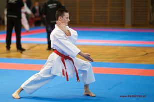 seibukan_OOE_LM_U10_U21_Senioren_Linz_Auhof_2012_033.jpg