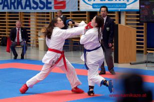 seibukan_OOE_Landesmeisterschaft_Lambach_2016_049.jpg