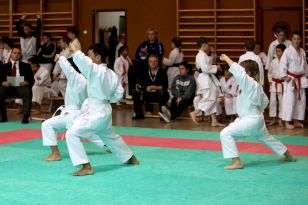 seibukan_Oesterr_Shotokan_Meisterschaft_2011_017.jpg