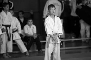 seibukan_Oesterr_Shotokan_Meisterschaft_2013_016.jpg