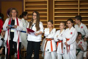 seibukan_Oesterr_Shotokan_Meisterschaft_2013_018.jpg