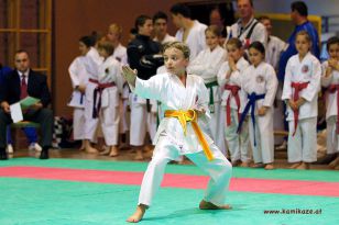 seibukan_Oesterr_Shotokan_Meisterschaft_StGeorgen_2012_014.jpg