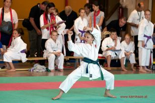 seibukan_Oesterr_Shotokan_Meisterschaft_StGeorgen_2014_019.jpg