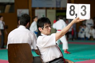 seibukan_Oesterr_Shotokan_Meisterschaft_StGeorgen_2014_067.jpg