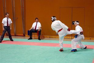 seibukan_Shotokan_Cup_2010_047.jpg