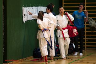 seibukan_Styrian_Open_Fuerstenfeld_2013_000.jpg