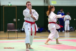 seibukan_Styrian_Open_Fuerstenfeld_2013_009.jpg