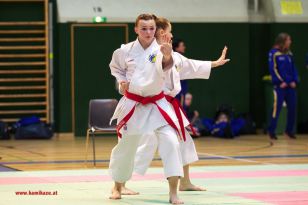 seibukan_Styrian_Open_Fuerstenfeld_2013_010.jpg