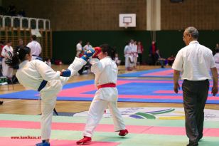 seibukan_Styrian_Open_Fuerstenfeld_2013_031.jpg