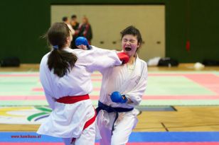 seibukan_Styrian_Open_Fuerstenfeld_2013_048.jpg