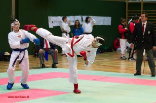 seibukan_Styrian_Open_Fuerstenfeld_2013_056.jpg