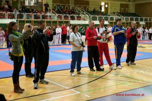 seibukan_Styrian_Open_Fuerstenfeld_2014_072.jpg