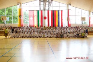 seibukan7_Internationales_Kamikaze_Sommercamp_2015_272.jpg