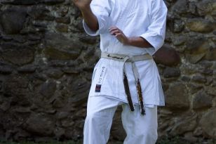 seibukan_3_Int_Karate_Sommercamp_Ravensburg_2015_079.jpg