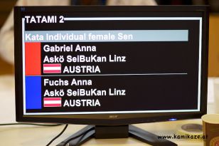 seibukan_Askoe_Landesmeisterschaft_Linz_Auhof_2011_037.jpg