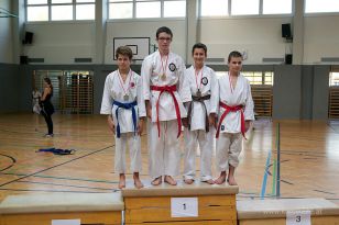 seibukan_Askoe_OOEKarate_Landesmeisterschaft_2013_073.jpg