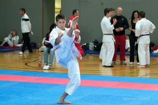 seibukan_Askoe_OOEKarate_Landesmeisterschaft_2013_118.jpg