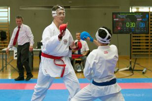 seibukan_Askoe_OOEKarate_Landesmeisterschaft_2013_186.jpg