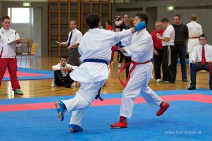 seibukan_Askoe_OOEKarate_Landesmeisterschaft_2013_199.jpg