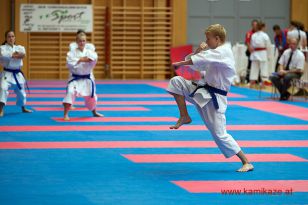 seibukan_Austria_Junior_Open_Walserfeld_2014_009.jpg