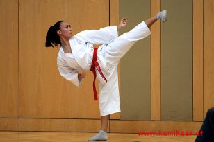 seibukan_Austrian_Junior_Open_2011_130.jpg