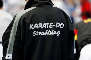 seibukan_Austrian_Karate_Champions_Cup_2010_042.jpg