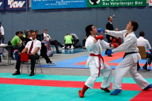 seibukan_Austrian_Karate_Champions_Cup_2010_071.jpg