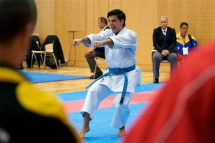 seibukan_Austrian_Open_Golden_League_2009_007.jpg