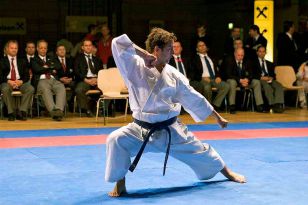 seibukan_Austrian_Open_Golden_League_2009_030.jpg