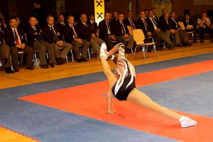 seibukan_Austrian_Open_Golden_League_2009_032.jpg