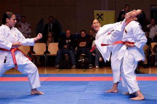 seibukan_Austrian_Open_Golden_League_2009_037.jpg