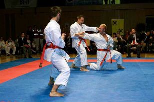 seibukan_Austrian_Open_Golden_League_2009_046.jpg