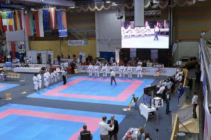 seibukan_ESKA_Shotokan_Europameisterschaft_in_Wels_2009_000.jpg