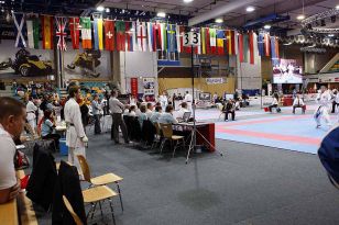 seibukan_ESKA_Shotokan_Europameisterschaft_in_Wels_2009_030.jpg