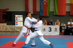 seibukan_Goju_Ryu_EM_Heilbronn_2014_058.jpg