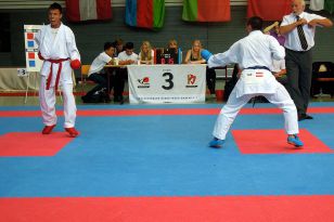 seibukan_Goju_Ryu_EM_Heilbronn_2014_059.jpg