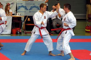 seibukan_Goju_Ryu_EM_Heilbronn_2014_096.jpg