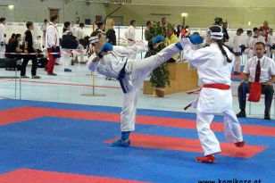 seibukan_Int_Huegelland_Cup_Graz_2011_011.jpg