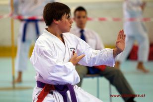 seibukan_Intern_Huegelland_Cup_2012_137.jpg