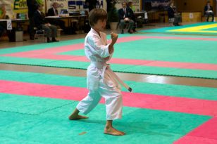 seibukan_Oesterr_Shotokan_Meisterschaft_2011_010.jpg