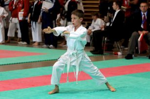 seibukan_Oesterr_Shotokan_Meisterschaft_2011_011.jpg