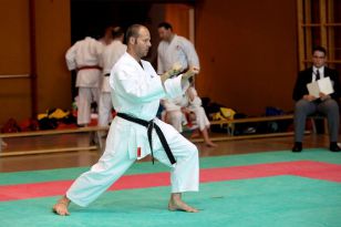 seibukan_Oesterr_Shotokan_Meisterschaft_2011_023.jpg